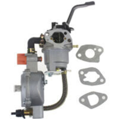 Huile pour carburateur double S-GIANT Gx160 GPL gx200 168f 170f