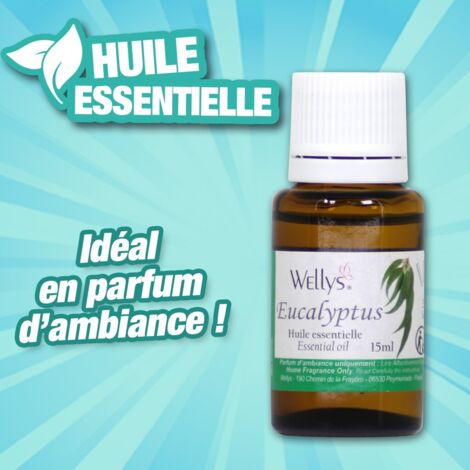 Huiles essentielles - Eucalyptus