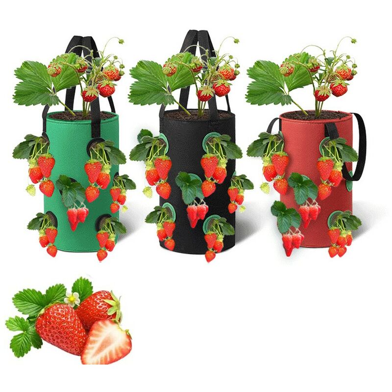 Sac Plantation Fraise Avec 3, Sacs de culture de légumes de jardin, sacs de culture, sacs de plantation de fraises suspendus, (20x35CM) KINSI