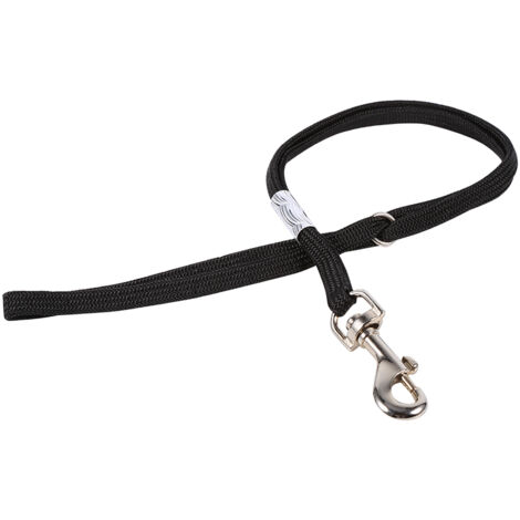 Hunde- und Katzenpflegetisch mit verstellbarem Arm, Fixiergeschirr und Befestigungsschnalle