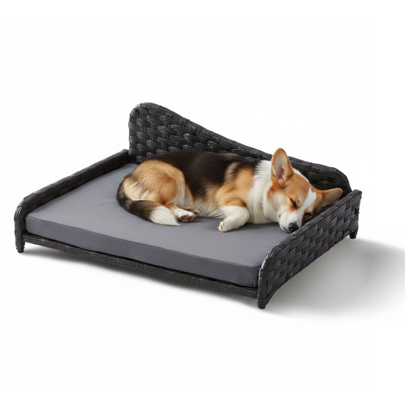 Relaxdays Hundebett Rattan, L, Hbt, 25x63x46 Cm, Erhöhtes Hundeliege Mit Kissen, Hundesofa, Outdoor & Indoor, Grau