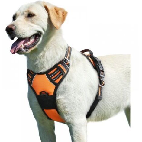 Hundegeschirr, verstellbar, reflektierend und zugfrei, leicht zu tragen mit Kontrollgriff, atmungsaktiv und robust, Hundegeschirr für mittelgroße und große Hunde, orange, L