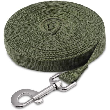 Hundeleine, Hundetrainingsleine mit Griff, langer Nylonriemen, freihändig für kleine bis große Hunde, zum Gassigehen, Joggen, 10 m x 2,5 cm (Grün)