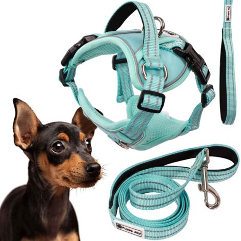 HUNDELEINE UND GESCHIRR PJ-053 GREEN S