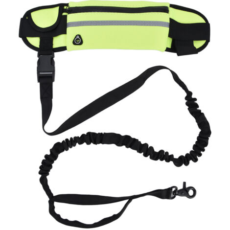 Hundesportgürtel mit reflektierender Leine und reißfestem Gummiband – Ideal zum Laufen und Spazierengehen – Wiesengrün