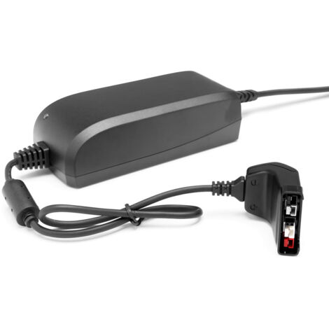 Husqvarna QC80 - Caricabatteria per Batterie Ioni di Litio 220V 80W Nero con Filo