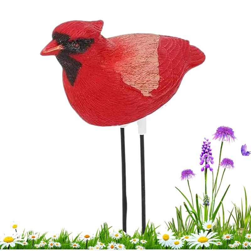 Hygromètre d'Eau - Lecteur d'Humidité Forme Oiseau pour - Hygromètre