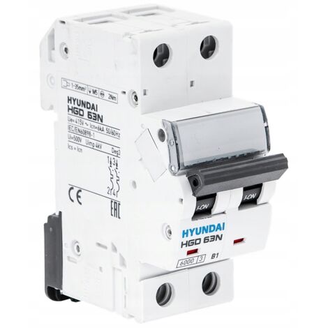 HYUNDAI HGD - INTERRUPTEUR DE SURINTENSITÉ 2P, 6KA, 40A, CHAR. B
