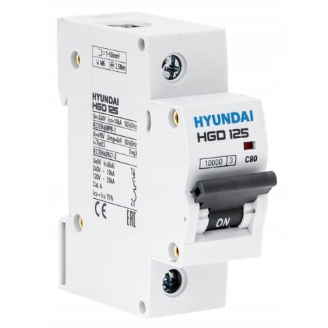 HYUNDAI HGD - INTERRUTTORE SOVRACORRENTE 1P, 125AF, 10KA, 80A, CHAR. C