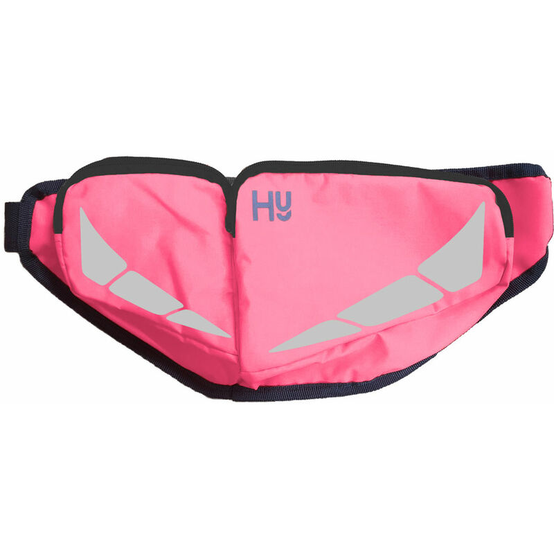 Bum Bag (One Size) (Pink) - Pink - Hyviz