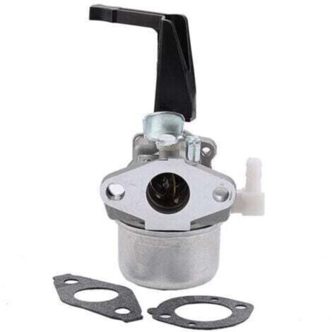 I carburatori Briggs & Stratton 696065 697422 sono adatti per la motosega 110402-0206-E1.