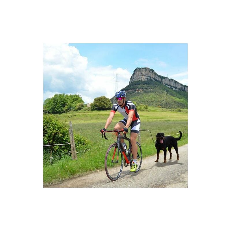 

IBÁÑEZ Dogcycle