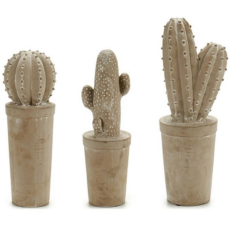 

Cactus Piedra (13 x 38 x 13 cm) - Ibergarden