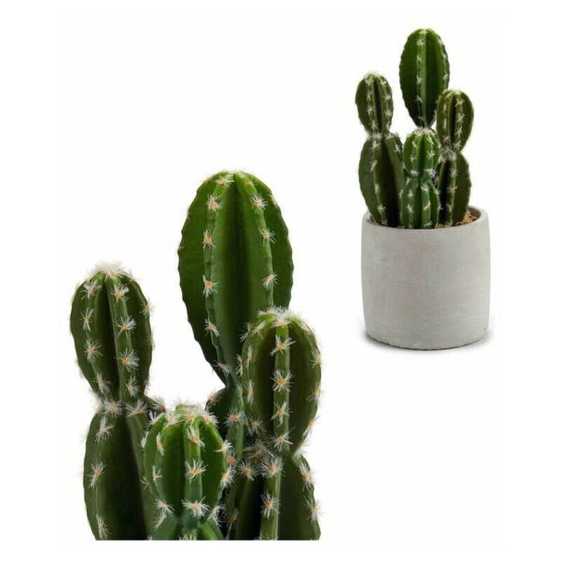 

Cactus Plástico Cactus (12 x 28 x 12 cm)