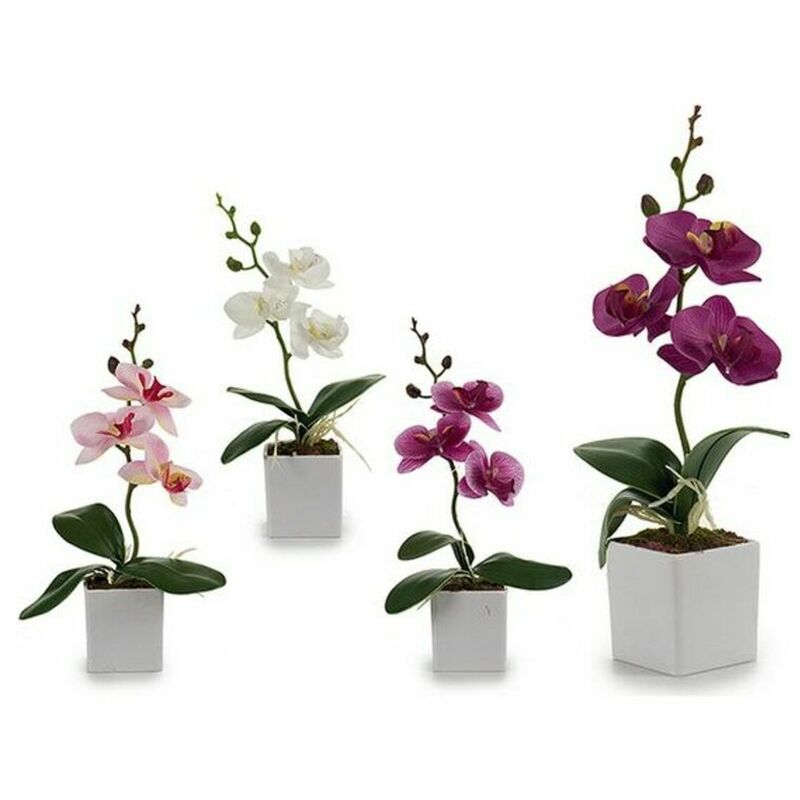 

Ibergarden Maceta Blanco Plástico (8 x 27 x 13 cm)