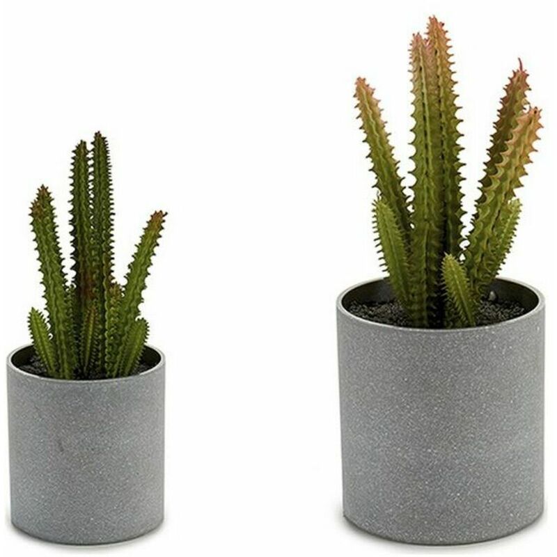 

Maceta Pequeño Cactus (7,5 x 19 x 7,5 cm) - Ibergarden