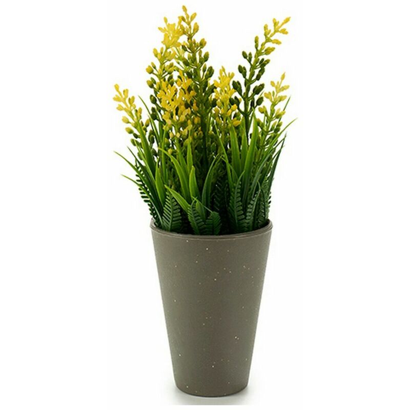 

Planta Decorativa Gris Plástico (10 x 23 x 10 cm) (10 x 22 x 10 cm) (9 x 22 x 9 cm) - Ibergarden