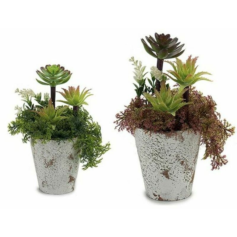 

Planta Decorativa Helecho Plástico Piedra (10 x 20 x 10 cm) - Ibergarden
