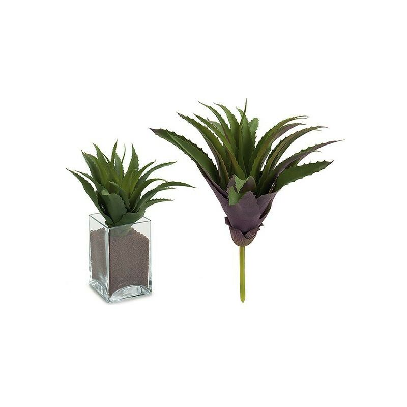 

Planta Decorativa (25 x 27 x 25 cm) - Ibergarden