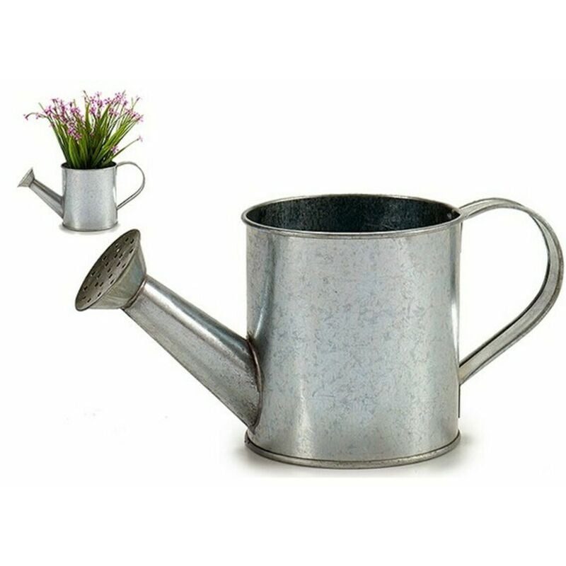 

Regadera zinc Plateado - Ibergarden