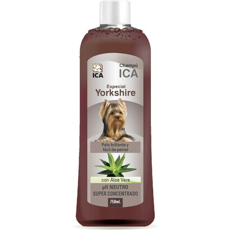 ICA CHPM19 Shampoo con Aloe Vera per Yorkshire