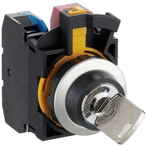 Idec CW4K-2AE20 CW Series Commutateur à clé 300 V 10 A 2 x 45 ° IP65, IP66 1 pc(s) Y031723