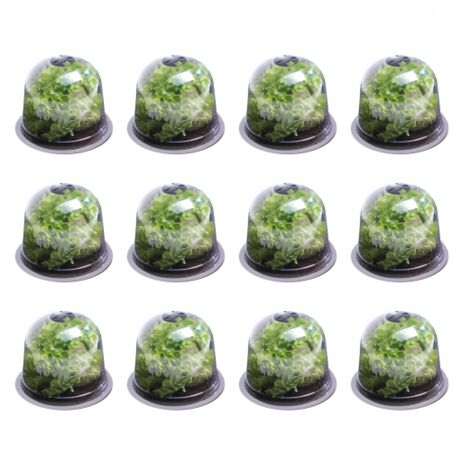 Idmarket – Cloche à salades x12 – Serre de protection pour plants – Aérateurs réglables – Plastique PP transparent – Dimensions 25,5cm diamètre x 20cm hauteur