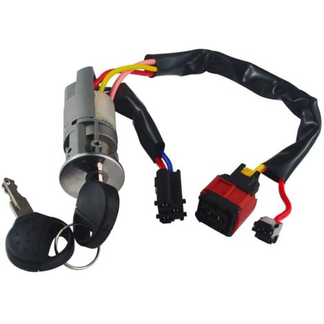 Ignition lock kit for Xsara Picasso, Peugeot 206, 406, Citroen, 2 keys, 992712 4162P0 Ignition cylinder switch
