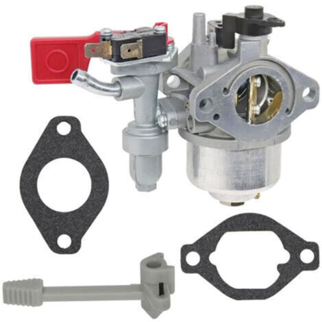 Il carburatore 799060 è compatibile con i componenti del carburatore del generatore 84004885.