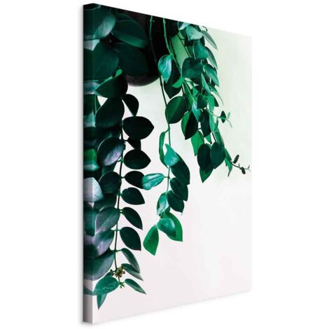 Image - Coraux de la nature (1 partie) verticale