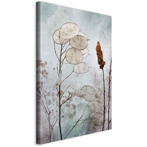 Image - Fruits de Lunaria (1 partie) vertical