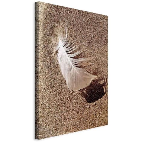 Image - Plume dans le sable (1 partie) verticale