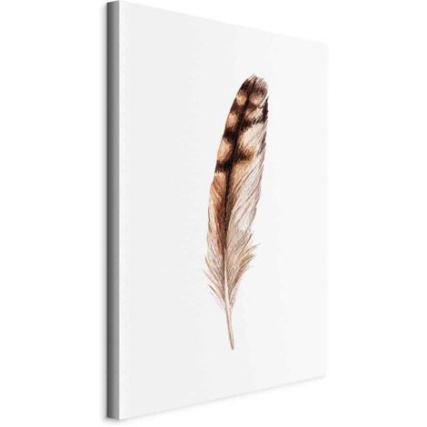 Image - Plume magique (1 partie) verticale