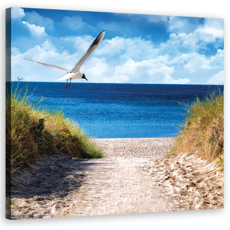Image sur toile, Chemin vers la plage et mouette - 30x30