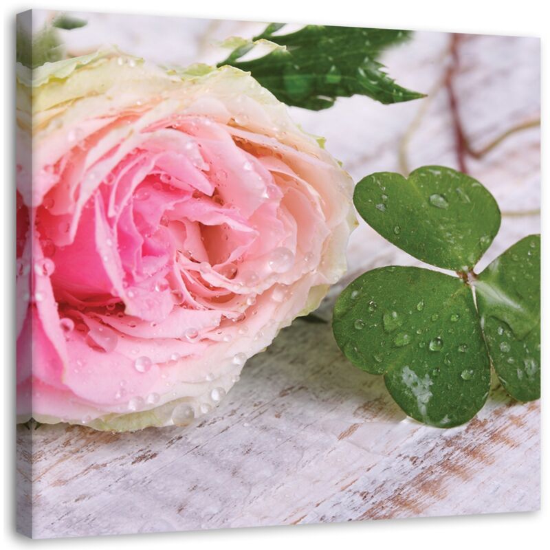 Image sur toile, Fleurs roses nature - 30x30