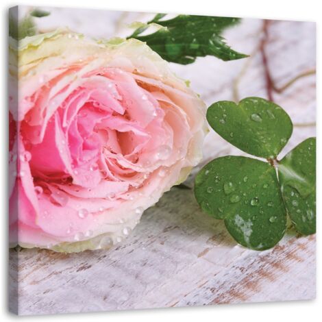 Image sur toile, Fleurs roses nature - 30x30