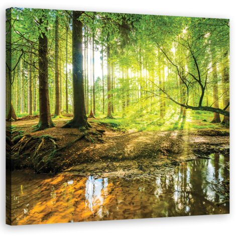 Image sur toile, Forêt Lac Nature - 50x50