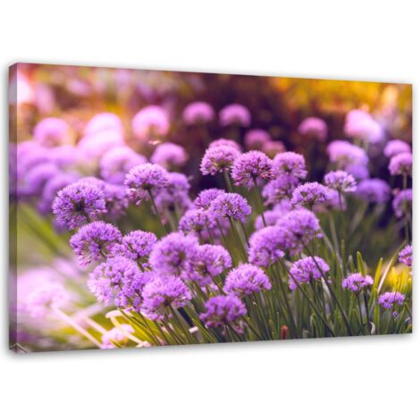 Image sur toile, Jardin Pourpre - 120x80
