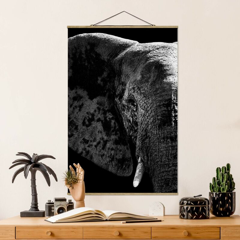 

Imagen de tela - African Elephant Black And White - Alto 3:2 Dimensión LxA: 52.5cm x 35cm