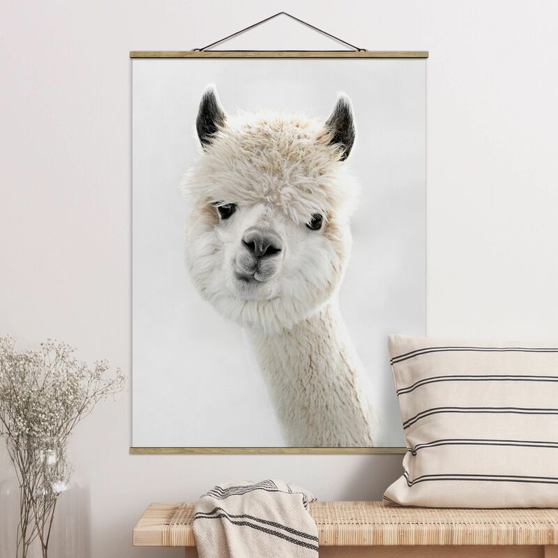 

Imagen de tela - Alpaca Portrait - Alto 4:3 Dimensión LxA: 133.5cm x 100cm