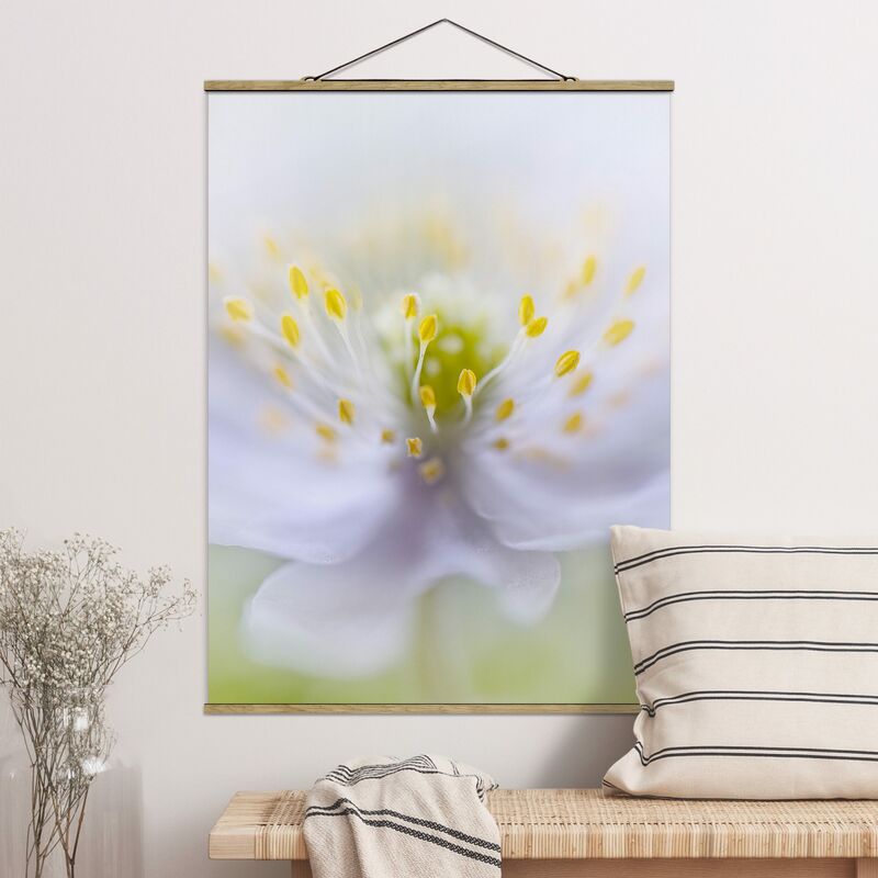 

Imagen de tela - Anemones Beauty - Alto 4:3 Dimensión LxA: 46.5cm x 35cm