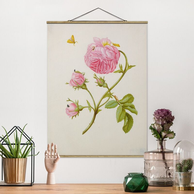

Imagen de tela - Anna Maria Sibylla Merian - Bush Roses With Leaf Miner - Alto 4:3 Dimensión LxA: 106.5cm x 80cm