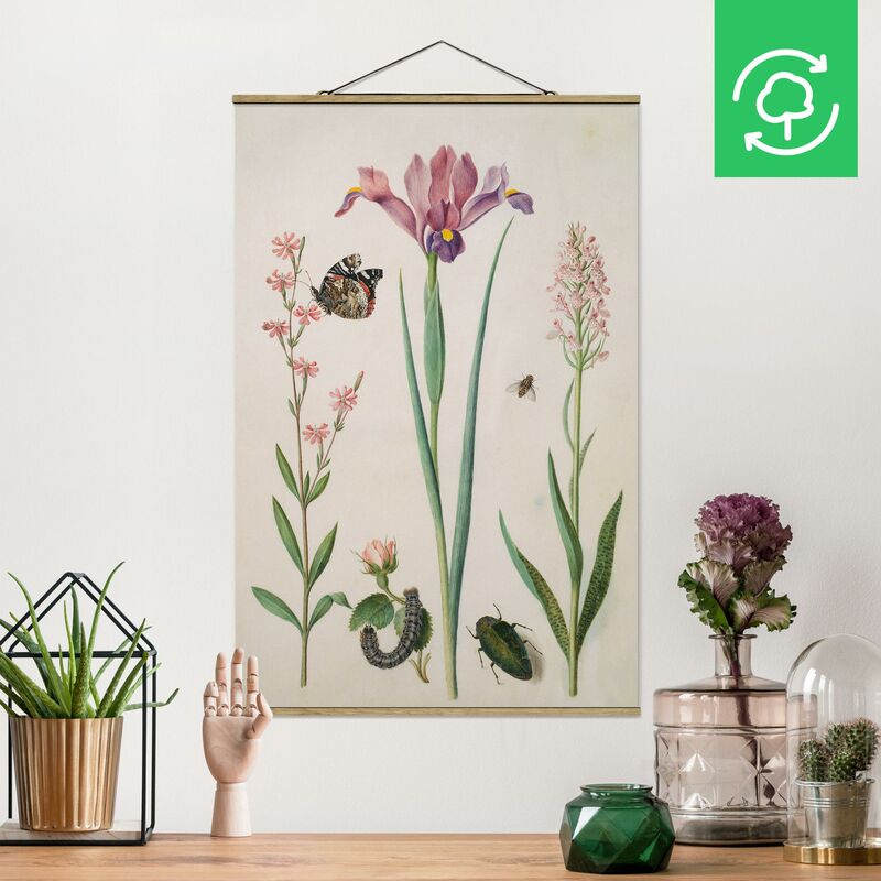 

Imagen de tela - Anna Maria Sibylla Merian - Campion And Rose - Alto 3:2 Dimensión LxA: 120cm x 80cm