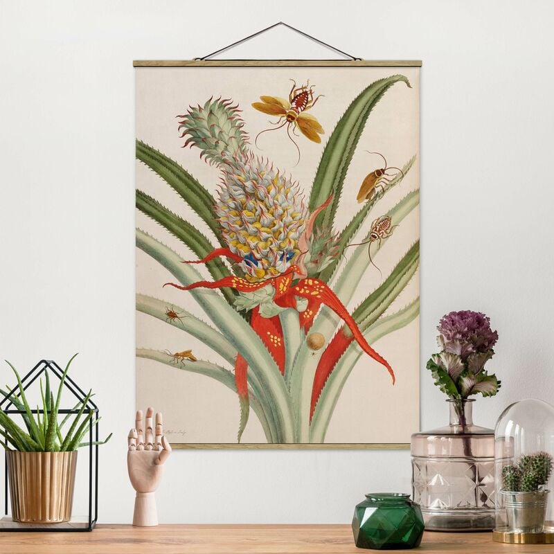 

Imagen de tela - Anna Maria Sibylla Merian - Pineapple With Insects - Alto 4:3 Dimensión LxA: 133.5cm x 100cm