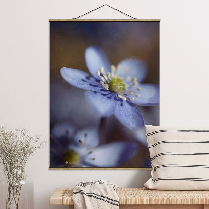 

Imagen de tela - Anemones In Blue - Alto 4:3 Dimensión LxA: 106.5cm x 80cm