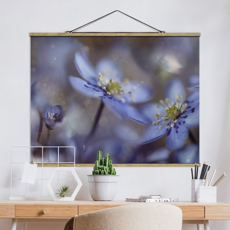 

Imagen de tela - Anemones In Blue - Apaisado 3:4 Dimensión LxA: 60cm x 80cm