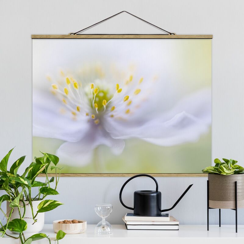 

Imagen de tela - Anemones Beauty - Apaisado 3:4 Dimensión LxA: 75cm x 100cm