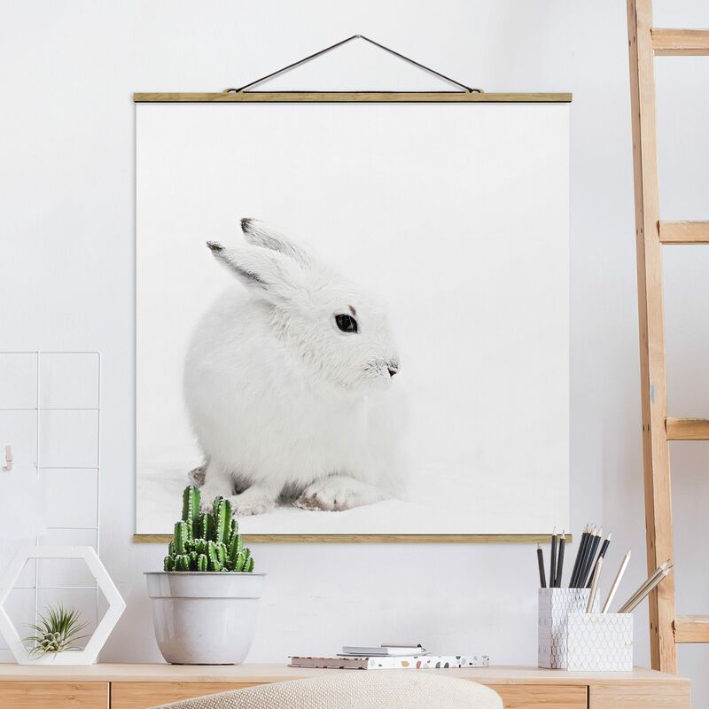 

Imagen de tela - Arctic Hare - Cuadrado 1:1 Dimensión LxA: 35cm x 35cm