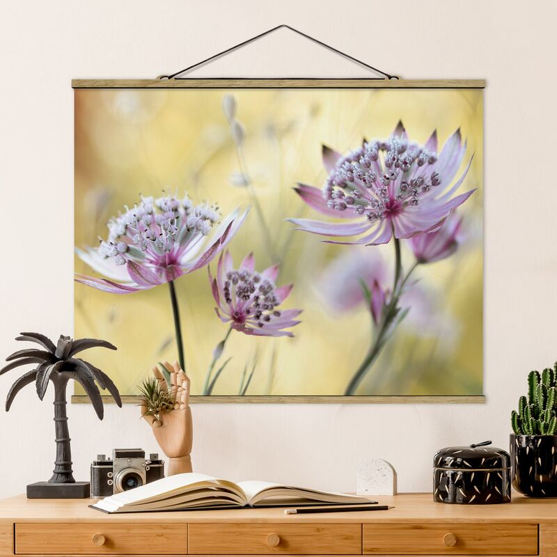 

Imagen de tela - Astrantia Major - Apaisado 3:4 Dimensión LxA: 75cm x 100cm