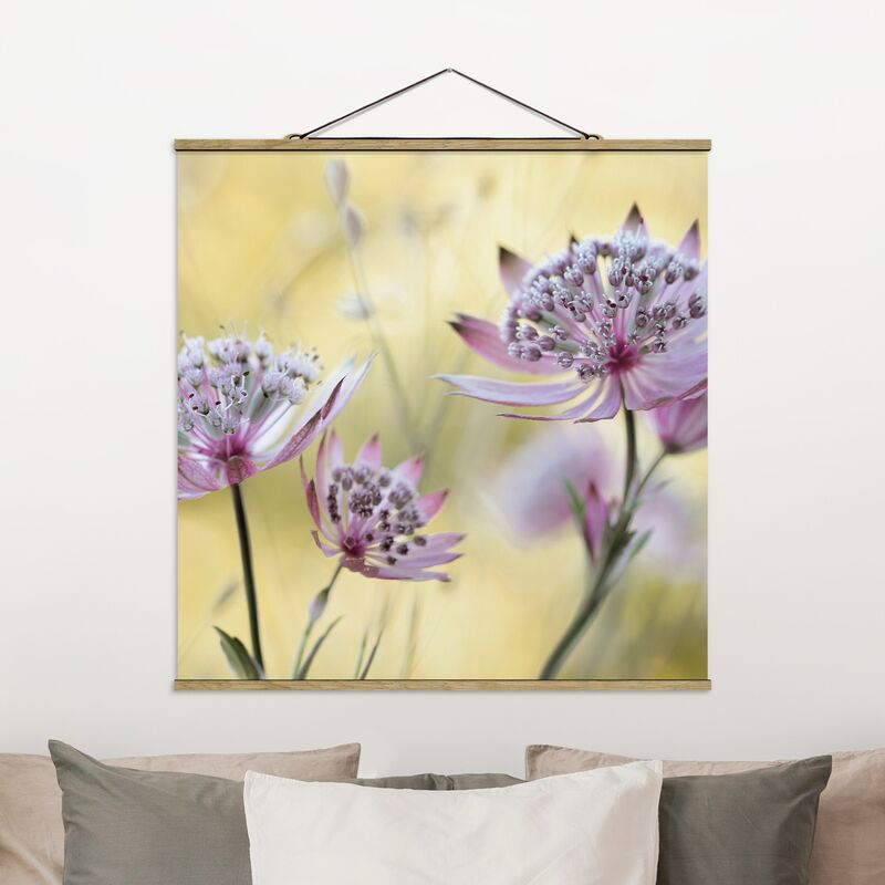 

Imagen de tela - Astrantia Major - Cuadrado 1:1 Dimensión LxA: 100cm x 100cm